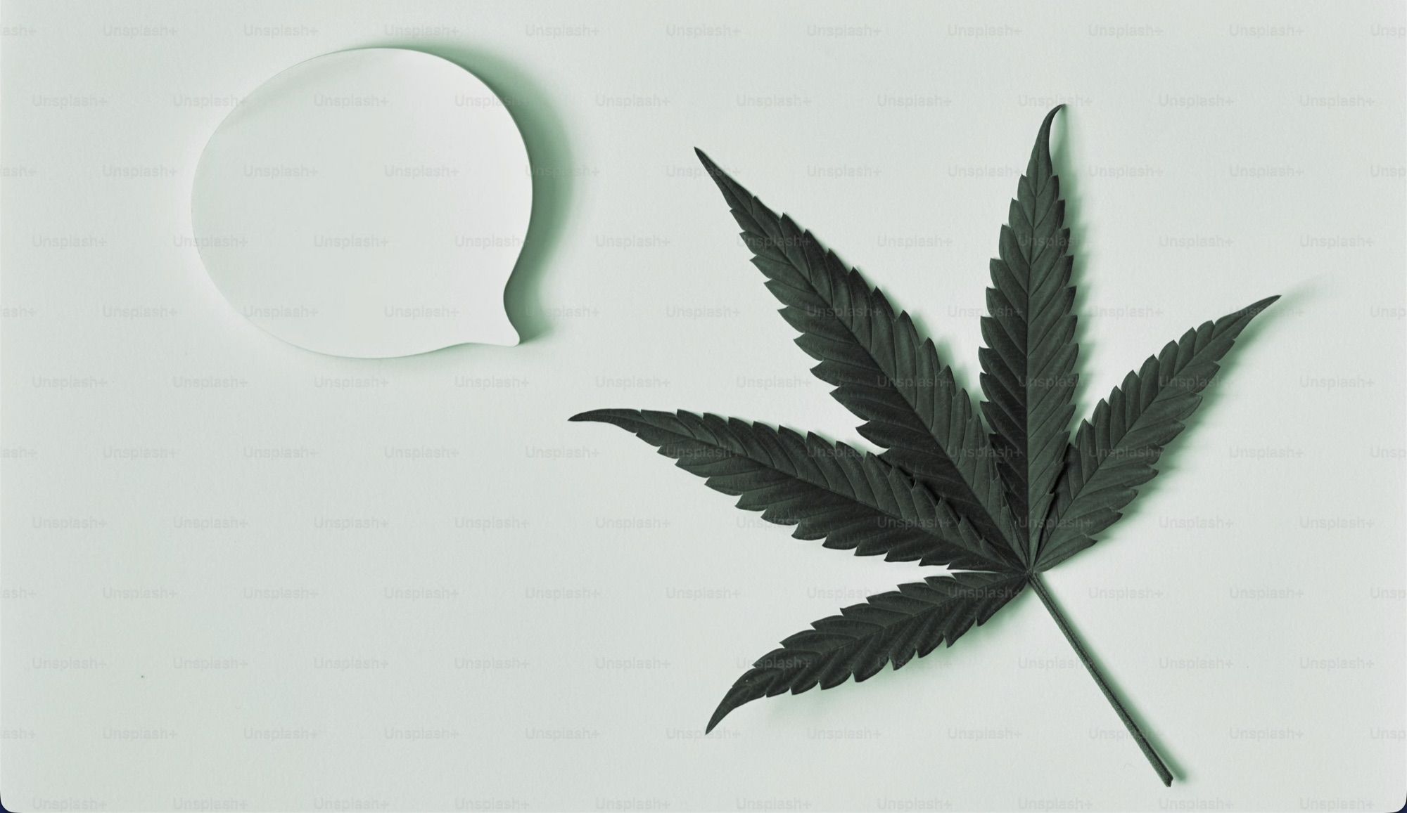 Cannabisblatt neben einer Sprechblase